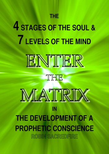 Sacredfire Robin - Enter the Matrix [eKönyv: epub, mobi]