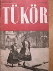 Rajka Ágnes - Tükör 1939. január-december [antikvár]