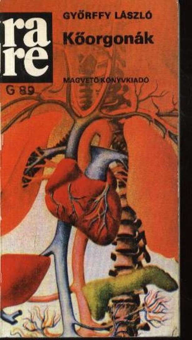 Győrffy László - Kőorgonák [antikvár]