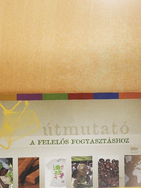 Gáll Veronika - Útmutató a felelős fogyasztáshoz [antikvár]