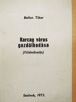 Bellon Tibor - Karcag város gazdálkodása [antikvár]