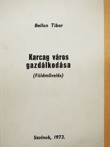 Bellon Tibor - Karcag város gazdálkodása [antikvár]