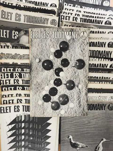 Antalffy Gyula - Élet és Tudomány 1976. január-december [antikvár]