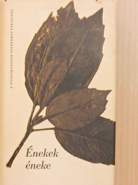 Abu Nuvász - Énekek éneke [antikvár]