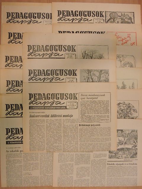 Bajor Nagy Ernő - Pedagógusok Lapja 1982. (nem teljes évfolyam) [antikvár]