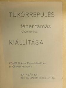 Bódis Sylvia - Tükörrepülés [antikvár]