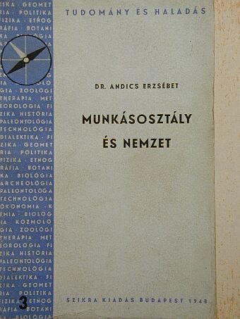 Dr. Andics Erzsébet - Munkásosztály és nemzet [antikvár]