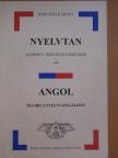 Nyelvtan központú tesztek és fordítások az angol írásbeli nyelvvizsgákhoz [antikvár]