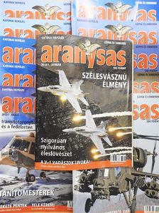 Aranysas 2013. (nem teljes évfolyam) [antikvár]