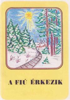Iványi Tibor - A fiú érkezik [antikvár]