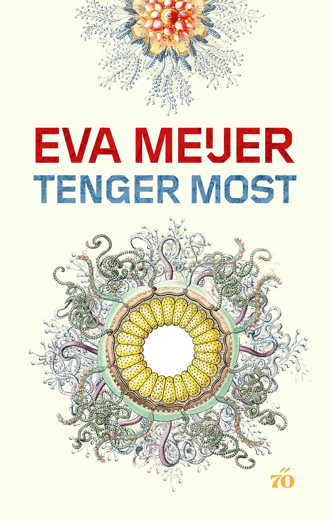 Meijer, Eva - Tenger Most