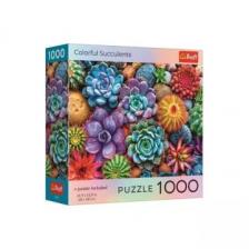 Square Box with poster - Colorful Succulents