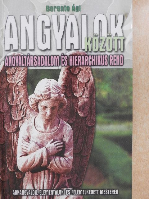 Berente Ági - Angyalok között [antikvár]