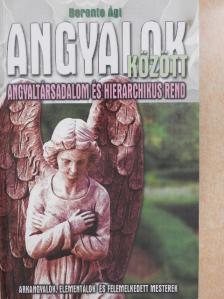 Berente Ági - Angyalok között [antikvár]