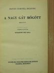 David Cornel DeJong - A nagy gát mögött [antikvár]