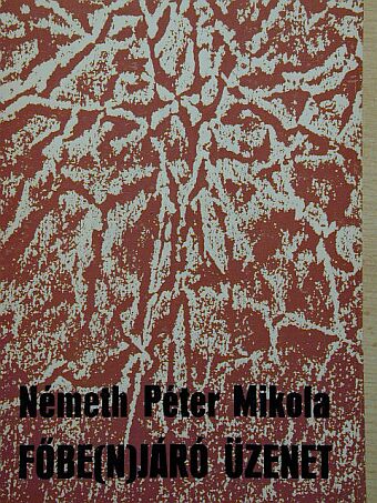 Németh Péter Mikola - Főbe(n)járó üzenet [antikvár]