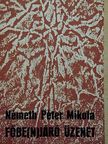 Németh Péter Mikola - Főbe(n)járó üzenet [antikvár]