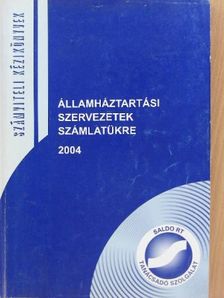Dömötörfy Józsefné - Államháztartási szervezetek számlatükre 2004 [antikvár]