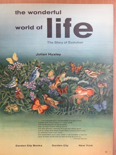 Julian Huxley - The Wonderful World of Life [antikvár]