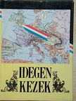Kölcsey Ferenc - Idegen kezek [antikvár]