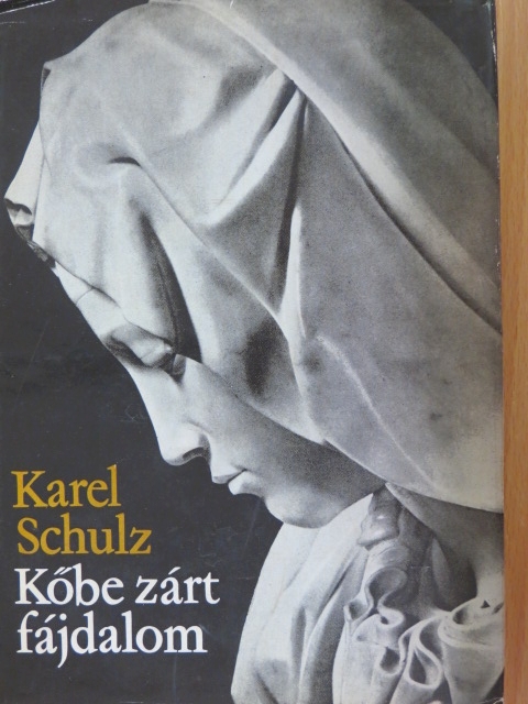 Karel Schulz - Kőbe zárt fájdalom [antikvár]