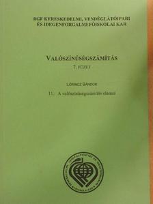 Lőrincz Sándor - Valószínűségszámítás 7/11. [antikvár]