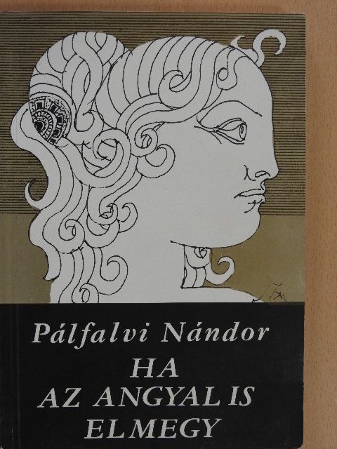 Pálfalvi Nándor - Ha az angyal is elmegy [antikvár]