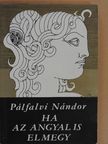 Pálfalvi Nándor - Ha az angyal is elmegy [antikvár]