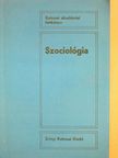 Dr. Gyekiczkyné Kormos Zsuzsa - Szociológia [antikvár]