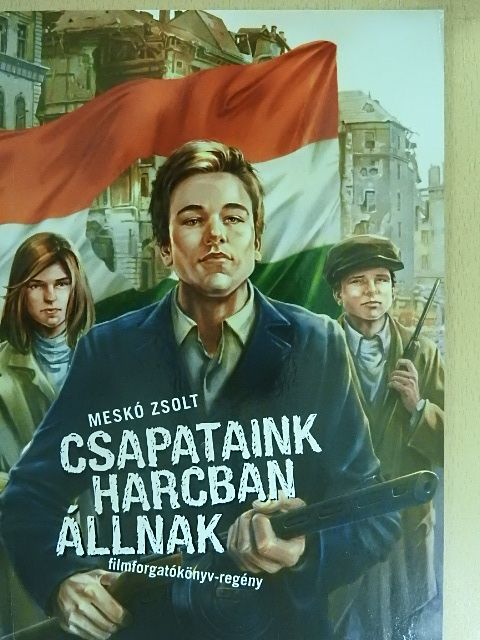 Meskó Zsolt - Csapataink harcban állnak [antikvár]