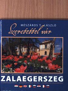 Dr. Vándor László - Szeretettel vár Zalaegerszeg [antikvár]