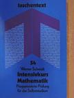 Werner Schmidt - Intensivkurs Mathematik [antikvár]