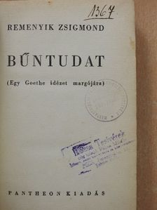 Remenyik Zsigmond - Bűntudat [antikvár]
