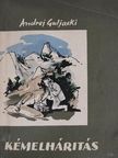 Andrej Guljaski - Kémelhárítás [antikvár]
