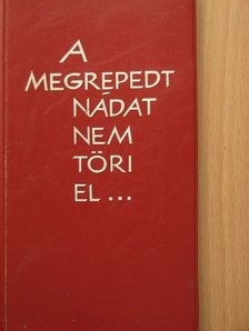 Balikó Zoltán - A megrepedt nádat nem töri el... [antikvár]
