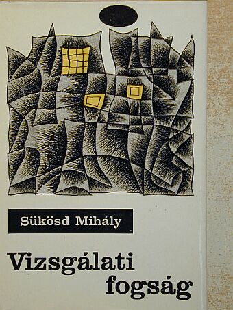 Sükösd Mihály - Vizsgálati fogság [antikvár]