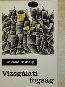 Sükösd Mihály - Vizsgálati fogság [antikvár]