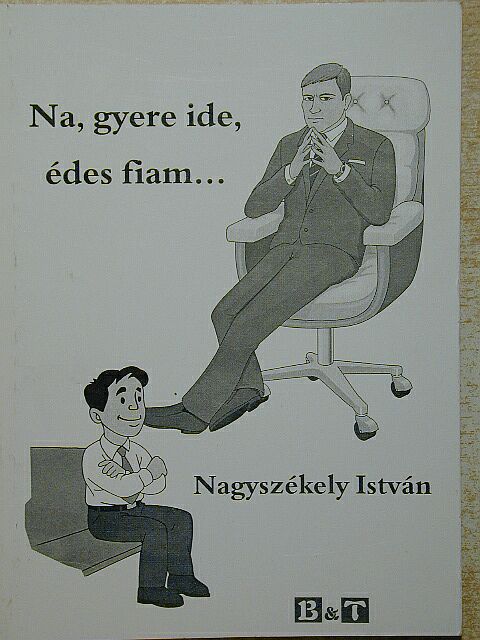 Nagyszékely István - Na, gyere ide, édes fiam... [antikvár]