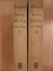Prof. Theodor Brugsch - Lehrbuch der Inneren Medizin I-II. [antikvár]