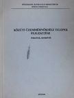 Dr. Hajtó Ödön - Közúti üzemmérnökségi telepek fejlesztése [antikvár]