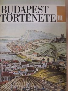 Bónis György - Budapest története III. [antikvár]