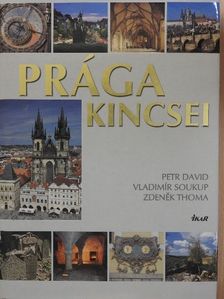 Petr David - Prága kincsei [antikvár]