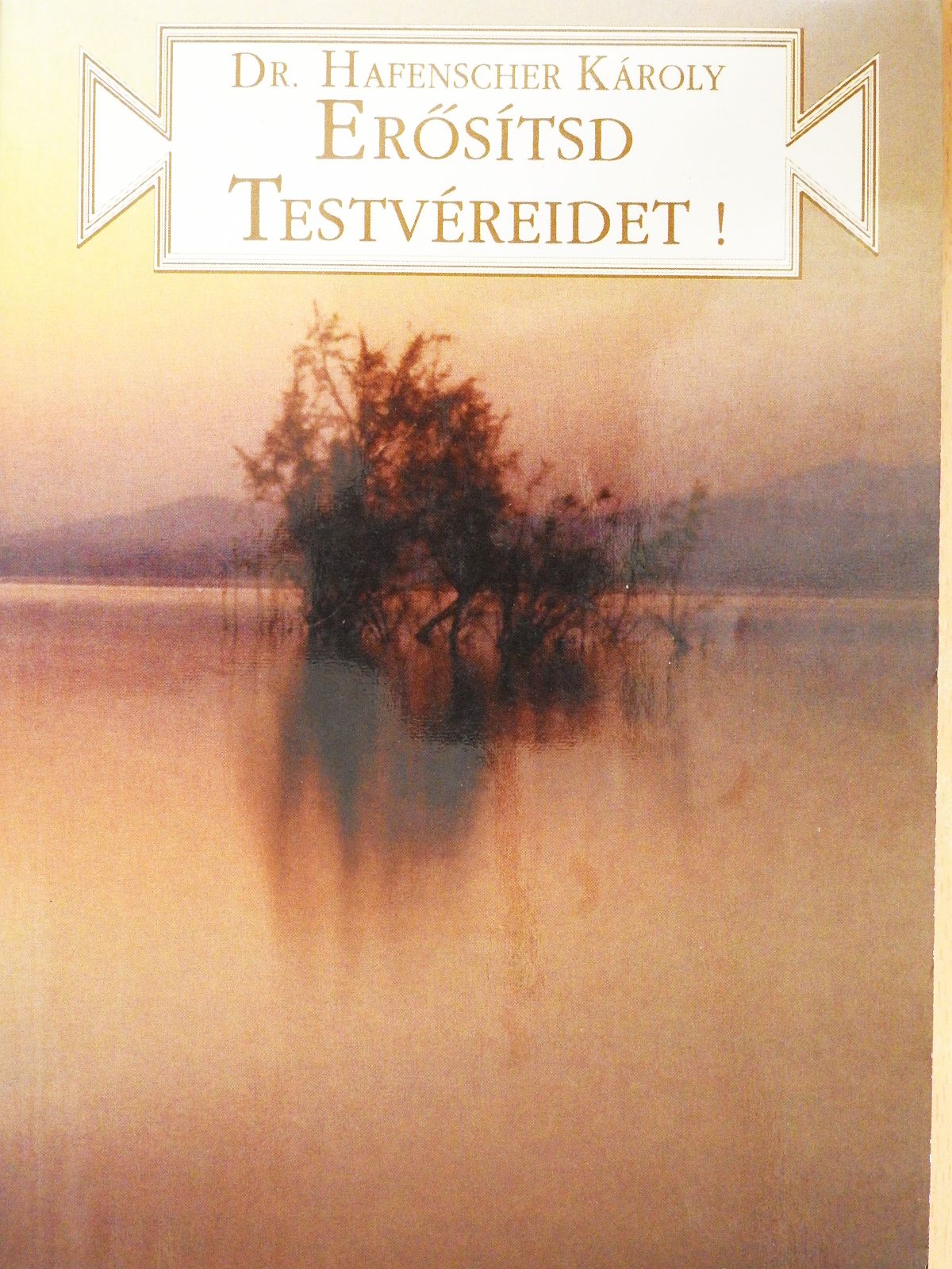 Dr. Hafenscher Károly - Erősítsd testvéreidet! (dedikált példány) [antikvár]