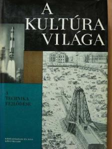 Ambrózy Andrásné - A kultúra világa - A technika fejlődése [antikvár]