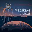Alexandru Musina - Alexandru Musina: Macska-e a cica?
