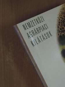 Hingyi Hajnalka - Nemzetközi agrárpiaci kilátások 2004 [antikvár]