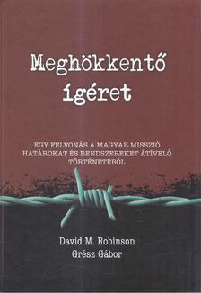 David M. Robinson, Grész Gábor - Meghökkentő ígéret [antikvár]