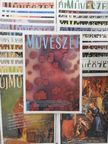András Edit - Új Művészet 2000-2003. (vegyes számok) (25 db) [antikvár]
