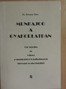 Dr. Breznay Tibor - Munkajog a gyakorlatban [antikvár]