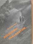 Sz. Lukács Imre - Dűlőúton, gyalogúton... (dedikált példány) [antikvár]